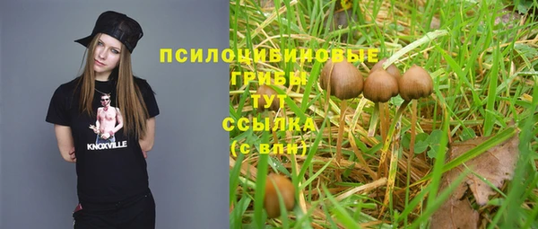 не бодяженный Абдулино